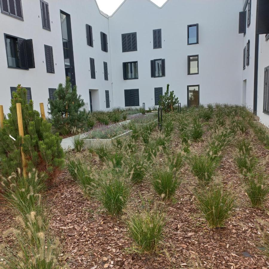 Apartament Orlando W Porto Leba 350M Od Morza エクステリア 写真
